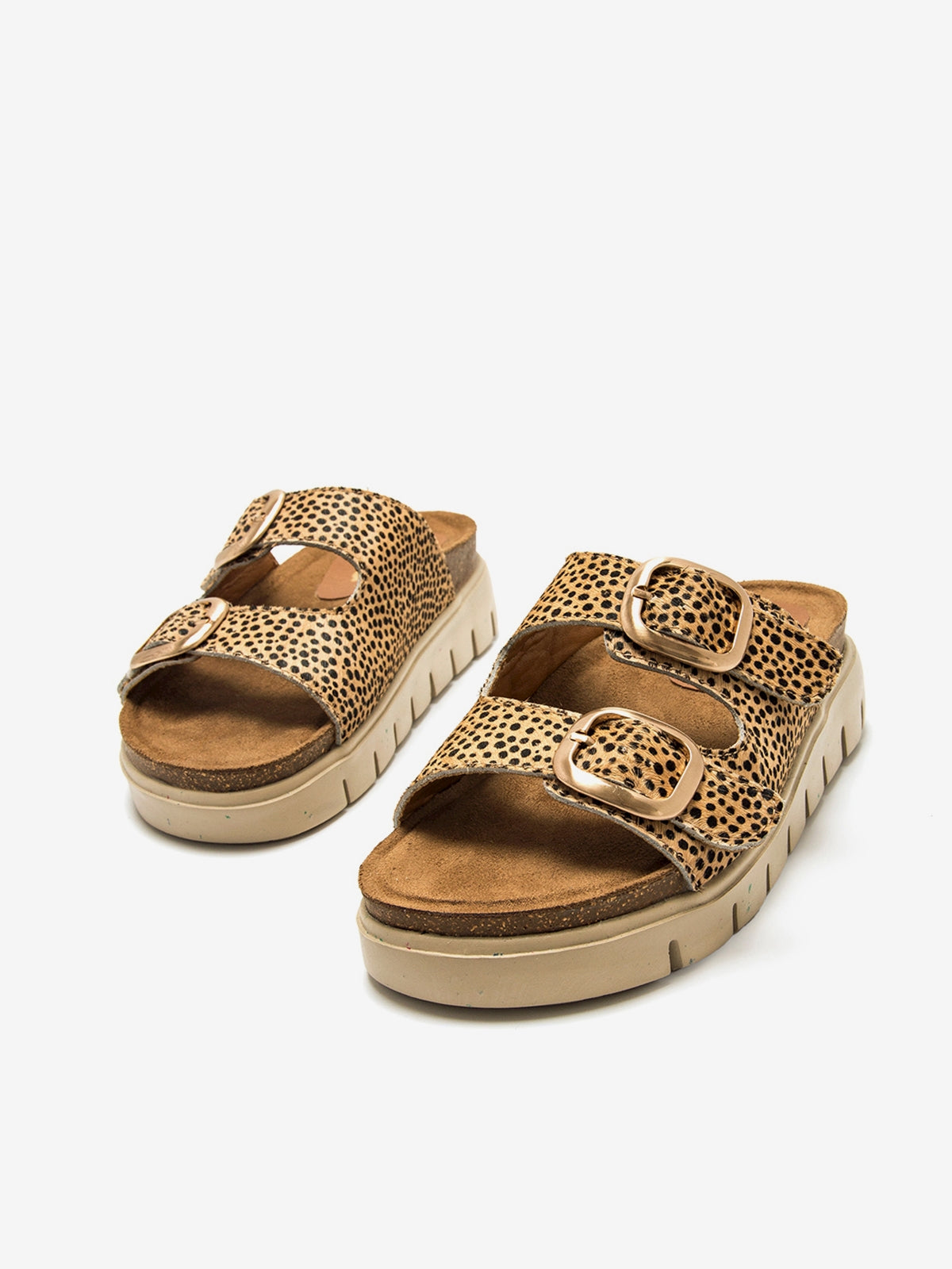 LION MARRON