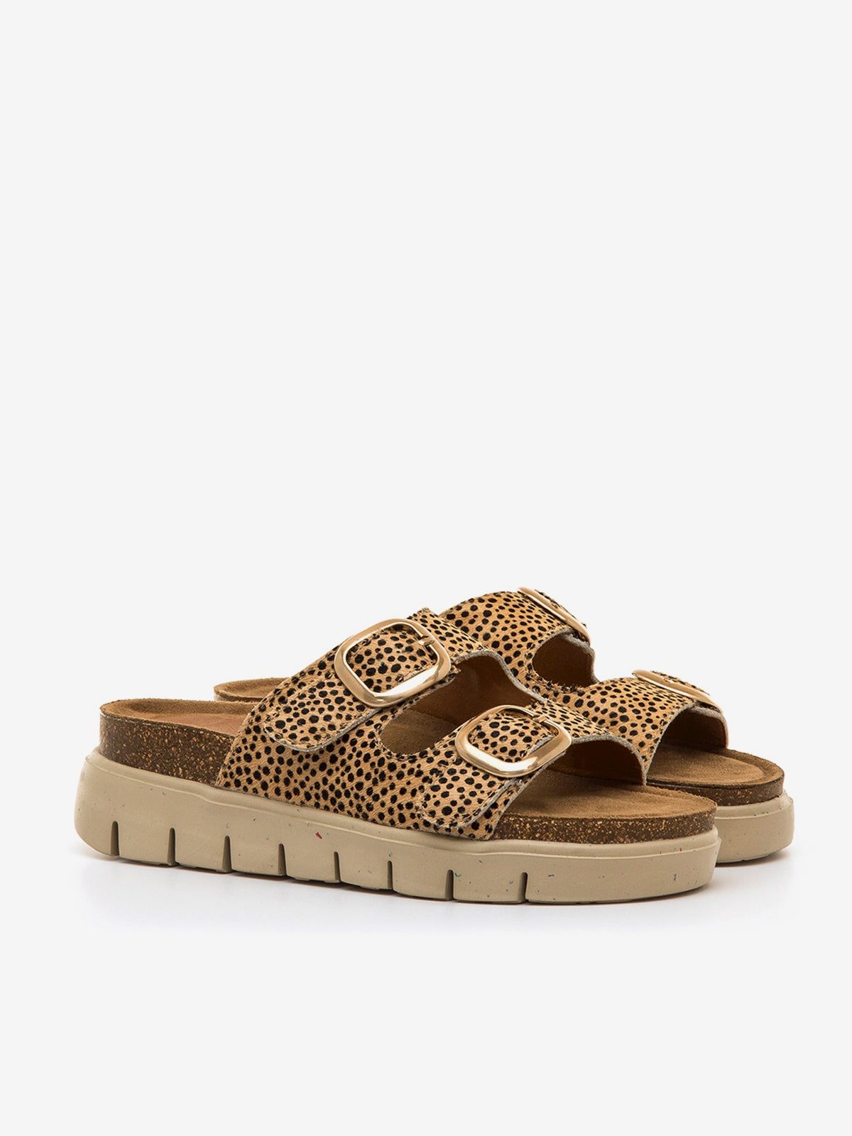 LION MARRON