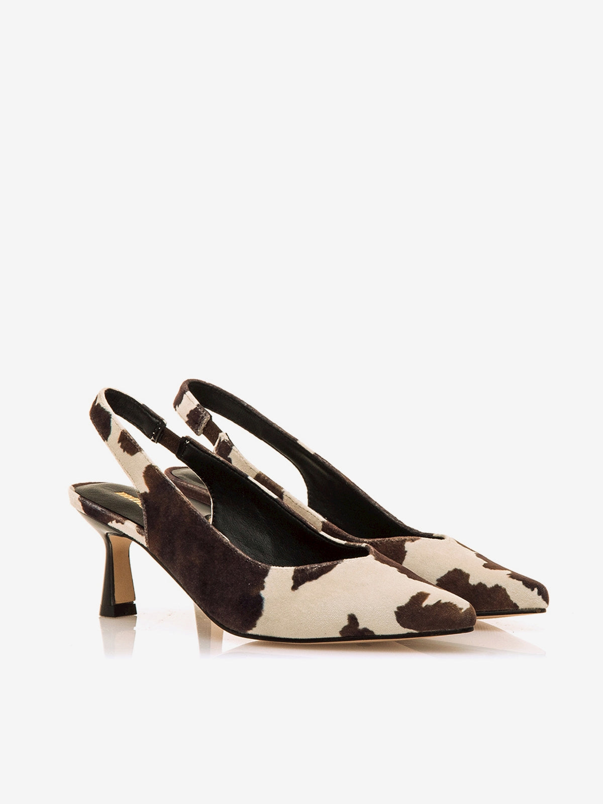 NINETTE MARRON