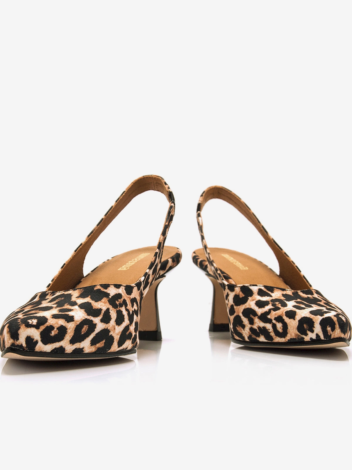 NINETTE MARRON
