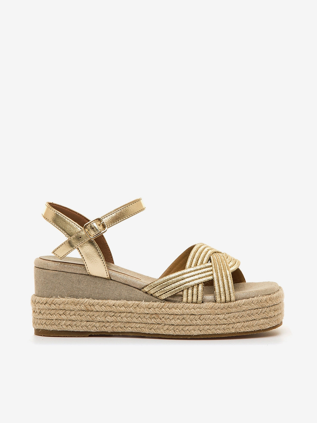 RICCIA OR