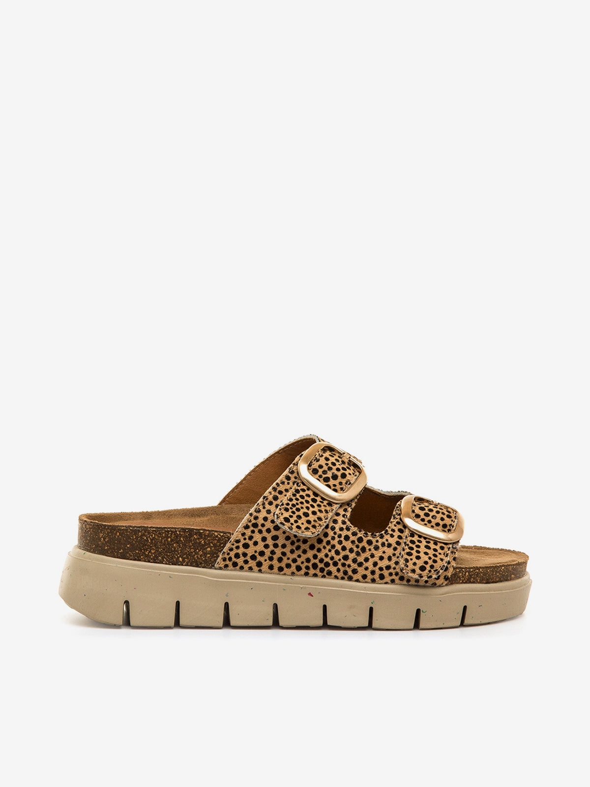 LION MARRON