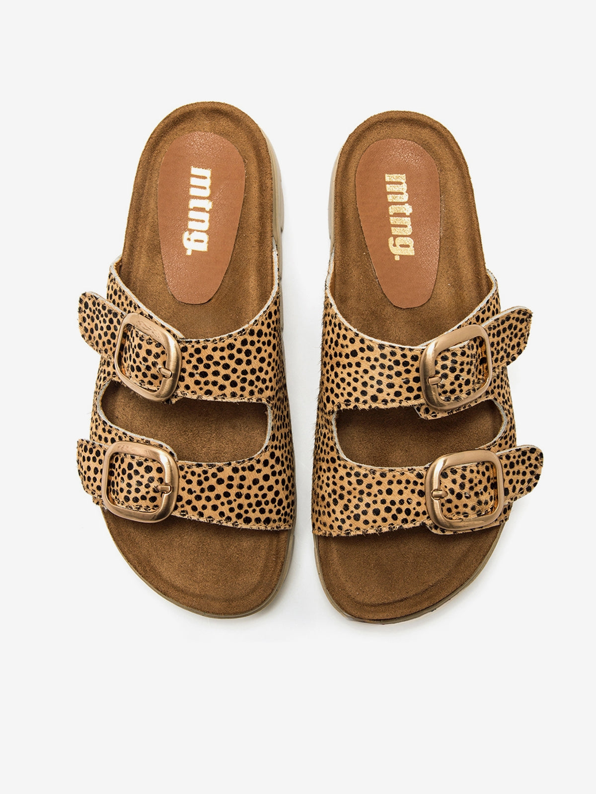 LION MARRON