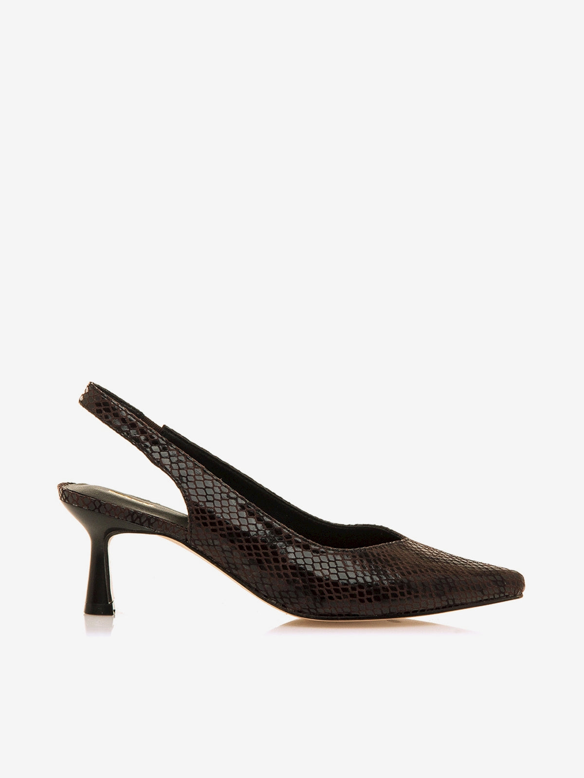 NINETTE MARRON