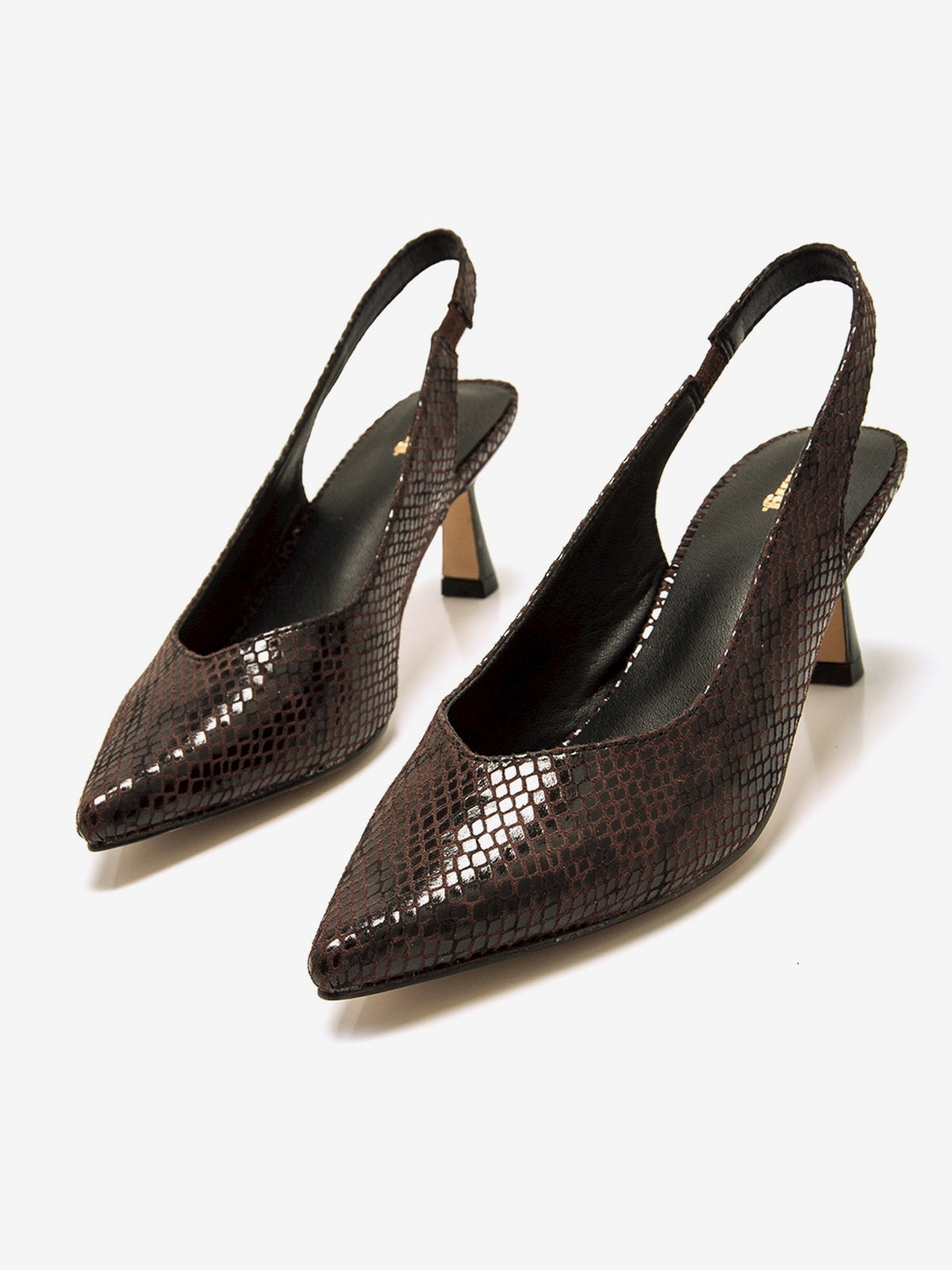 NINETTE MARRON