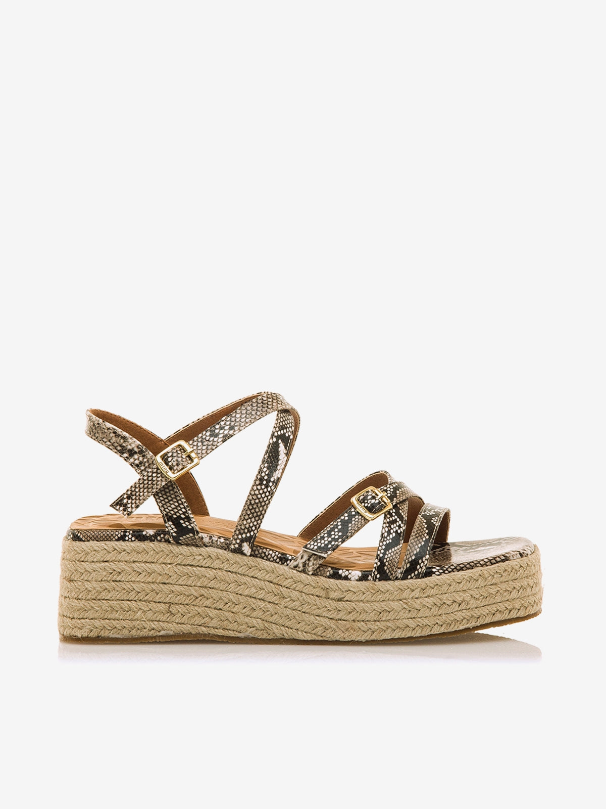DALINA BEIGE