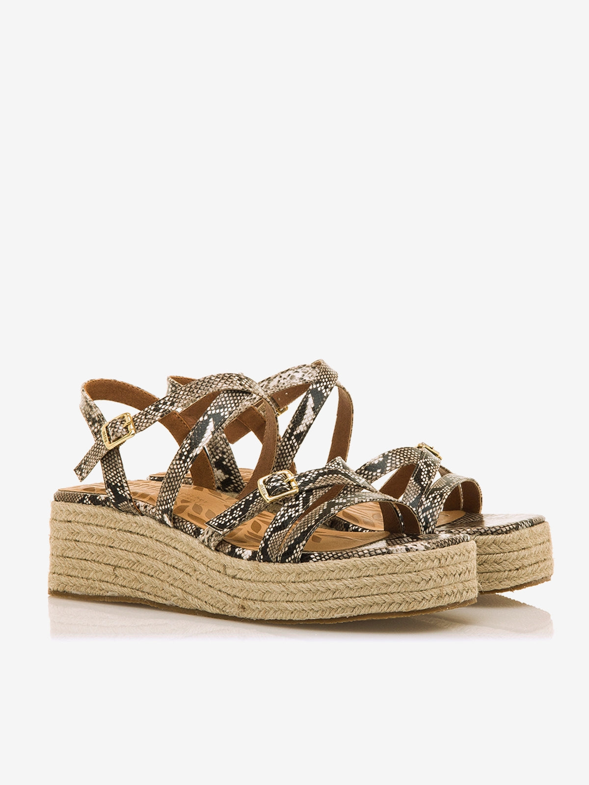 DALINA BEIGE