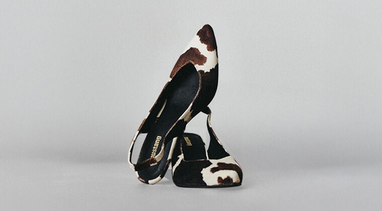 Animal Print