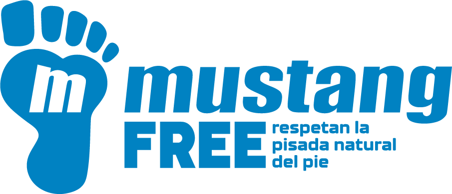 Mtng free para niños